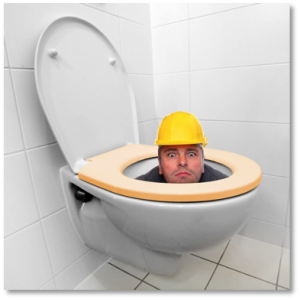 What Not to Flush Down Toilet Ramsey MN